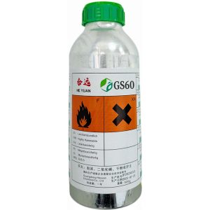 GS60